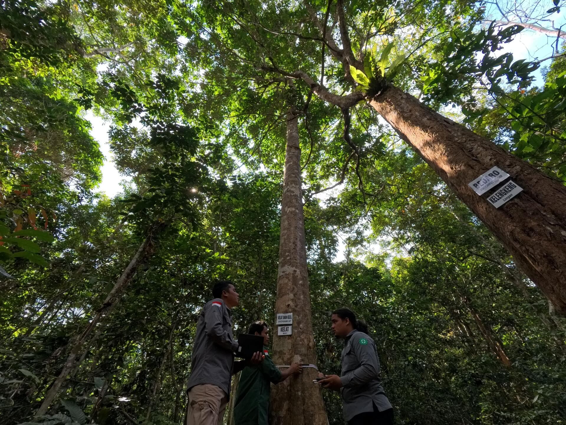 IMG_20240907_093531_159 (1).jpg