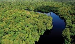 Alam Bukit Tigapuluh 2