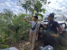 Manohara Project Inditex