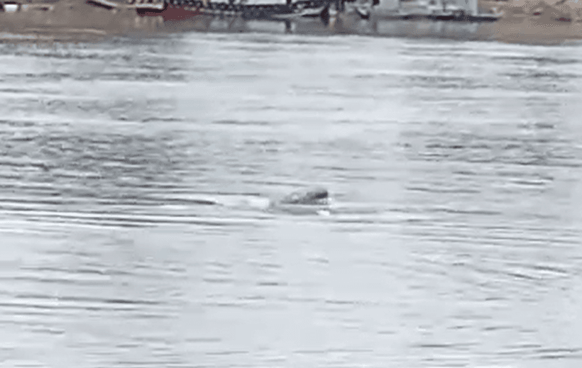 Manohara Hotel Latihan